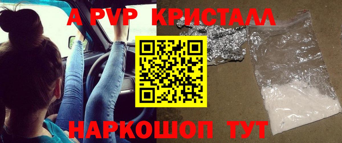 Альфа ПВП СК Тында