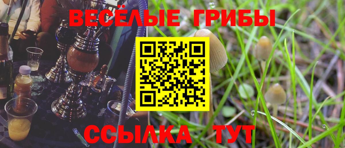 Псилоцибиновые грибы Cubensis  Вход с VPN  Тында  Галлюциногенные грибы мицелий 