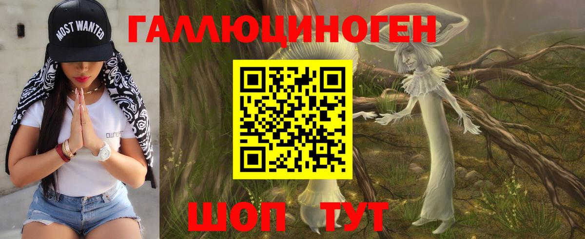 Галлюциногенные грибы Cubensis Тында