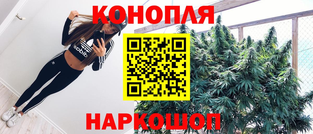 Каннабис план  Вход с VPN  Тында  Конопля Bruce Banner  Шишки марихуана AK-47  Конопля гибрид 